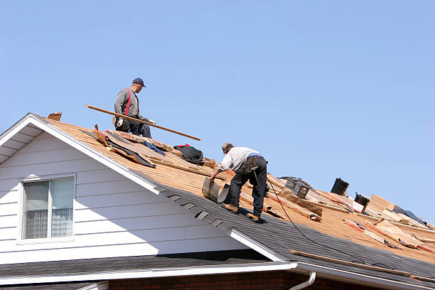 Best Roof Moss and Algae Removal  in Knox, PA
